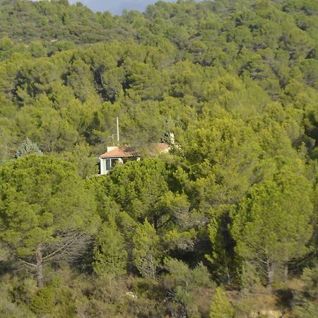 Vila La Petite Cigale Cesseras Exteriér fotografie