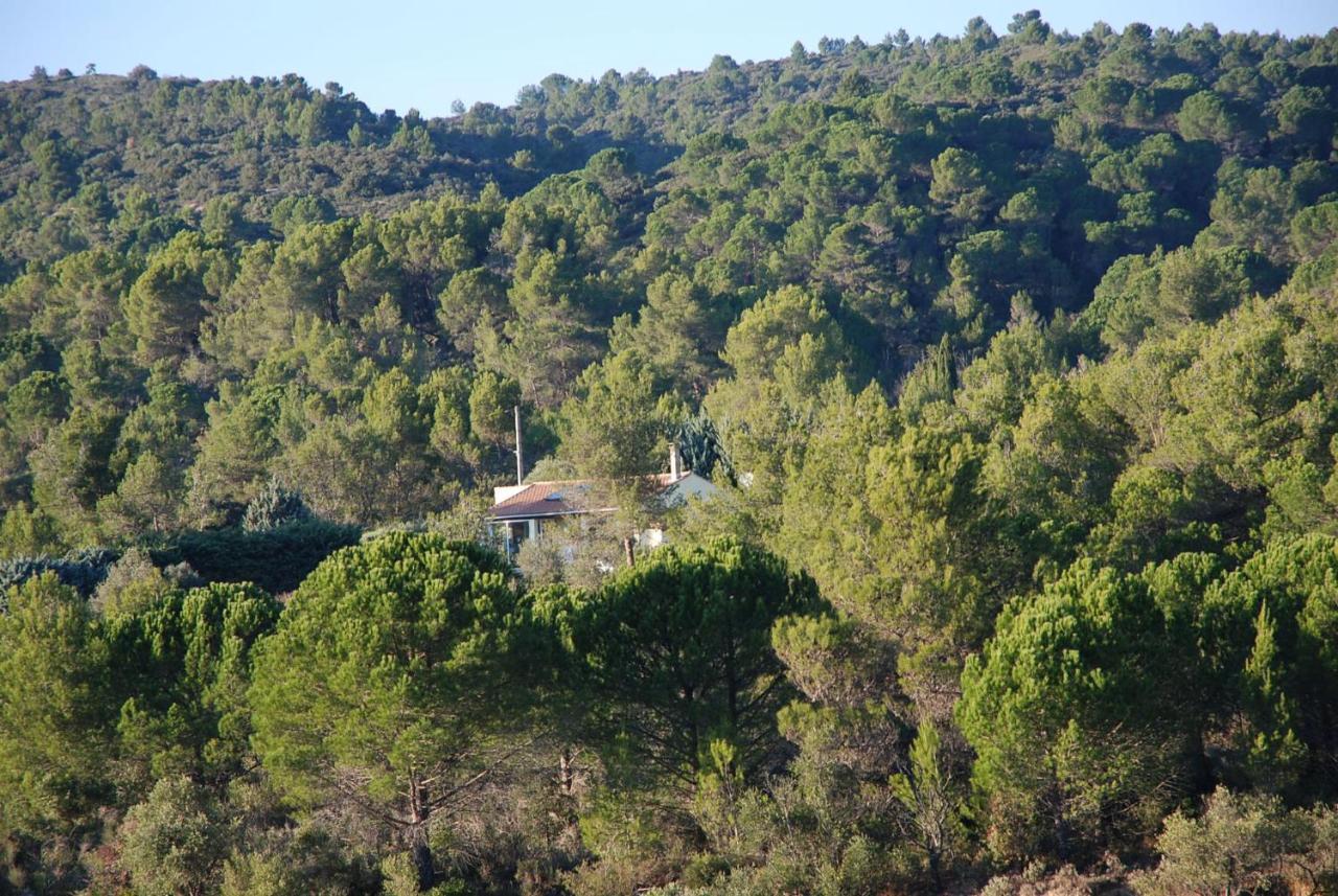 Vila La Petite Cigale Cesseras Exteriér fotografie