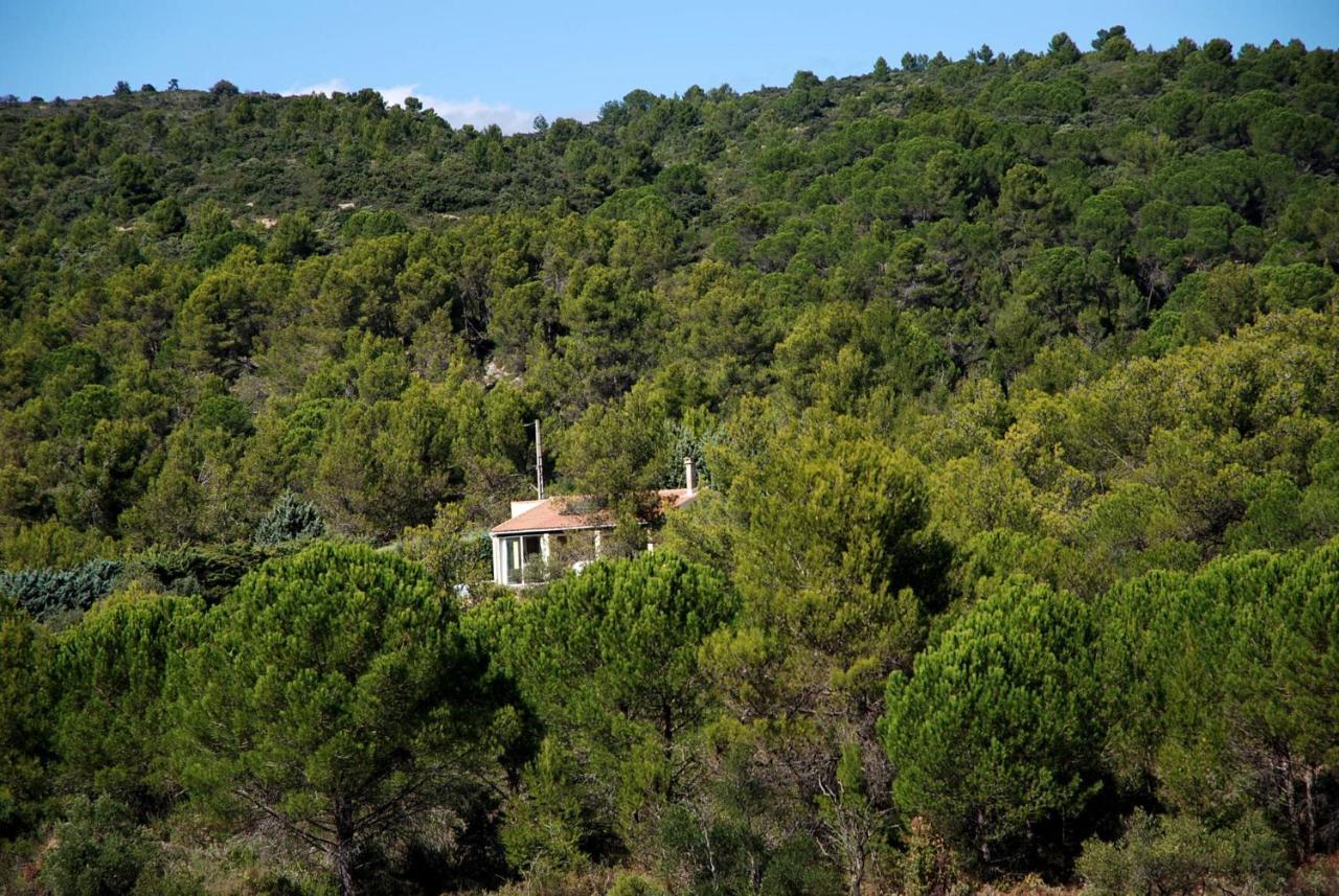 Vila La Petite Cigale Cesseras Exteriér fotografie